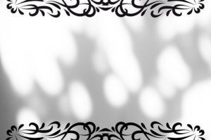 npressfetimg-5450.png