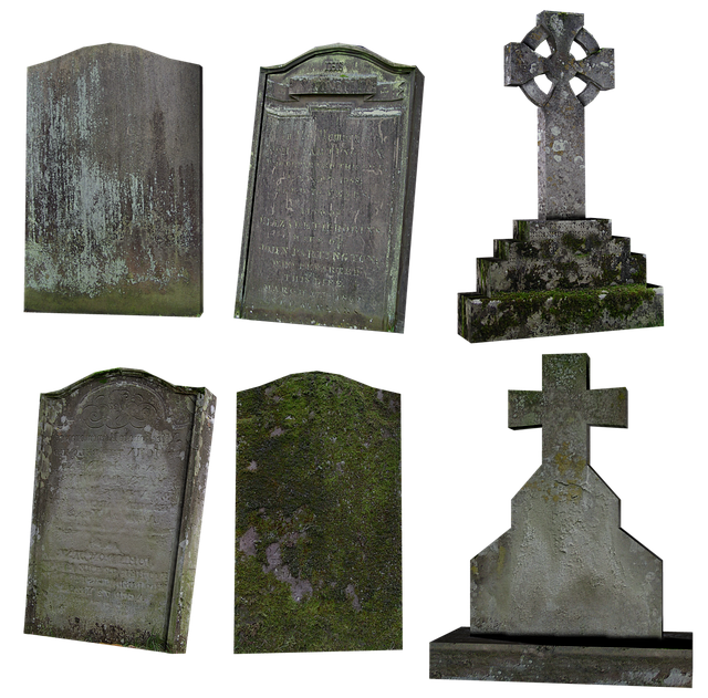 npressfetimg-5514.png