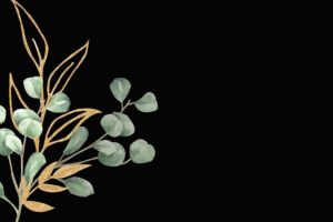 npressfetimg-564.png
