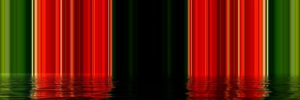 npressfetimg-5654.png