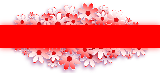 npressfetimg-5678.png