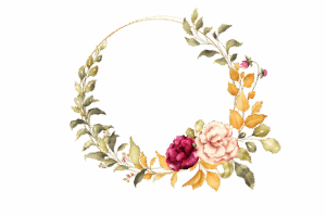 npressfetimg-5699.png