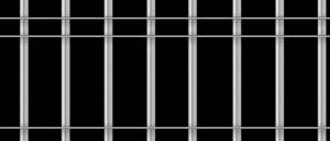 npressfetimg-5743.png