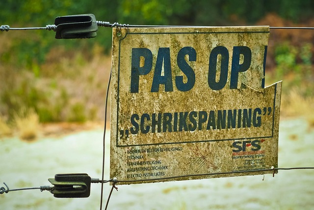 npressfetimg-5793.png