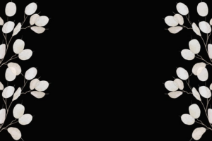 npressfetimg-5900.png