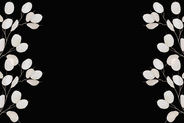 npressfetimg-5900.png