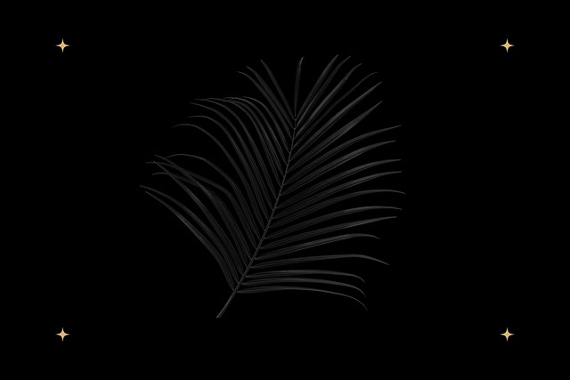 npressfetimg-5908.png