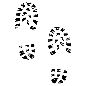 npressfetimg-5965.png