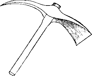 npressfetimg-6028.png