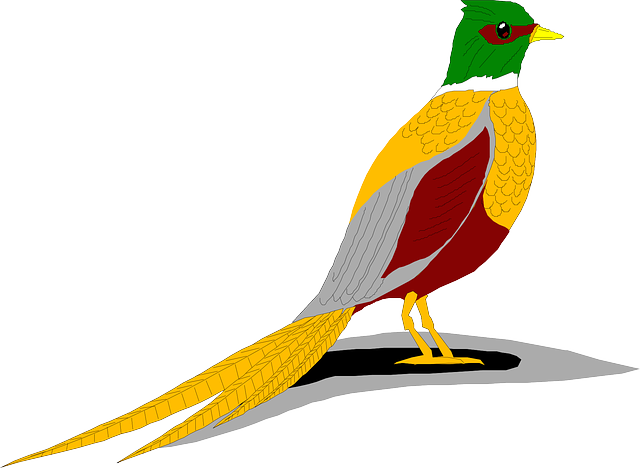 npressfetimg-6243.png