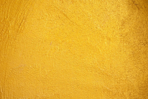 npressfetimg-6245.png