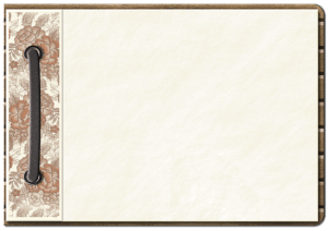 npressfetimg-6333.png