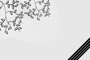 npressfetimg-6419.png
