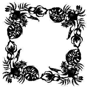 npressfetimg-6443.png
