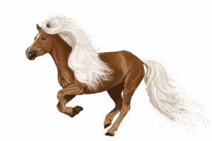 npressfetimg-6528.png