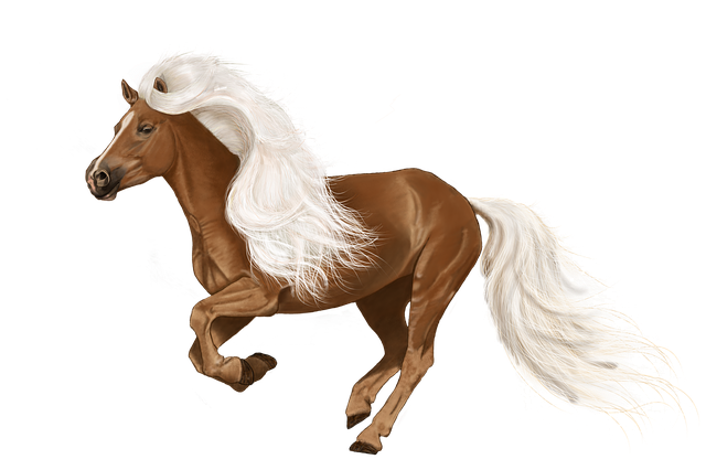 npressfetimg-6528.png