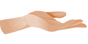 npressfetimg-6530.png