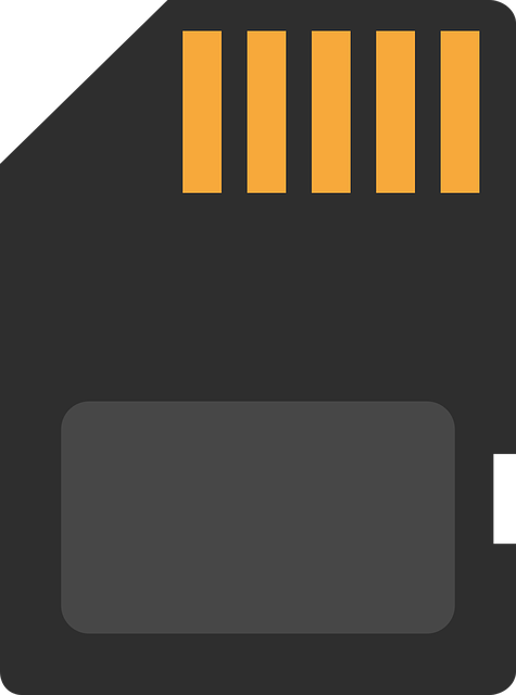 npressfetimg-6561.png