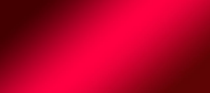 npressfetimg-6607.png