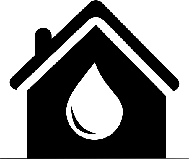 npressfetimg-6669.png
