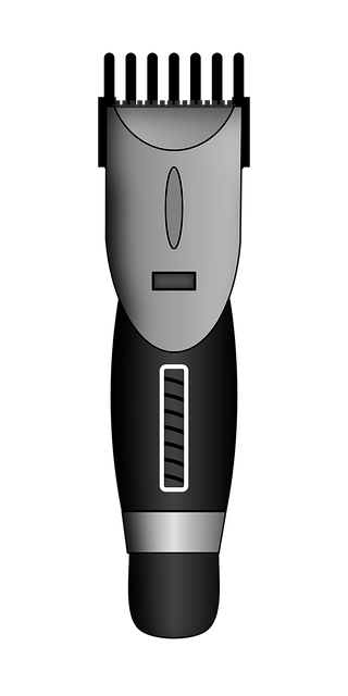 npressfetimg-6717.png