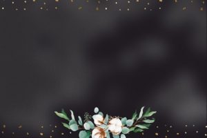 npressfetimg-6868.png