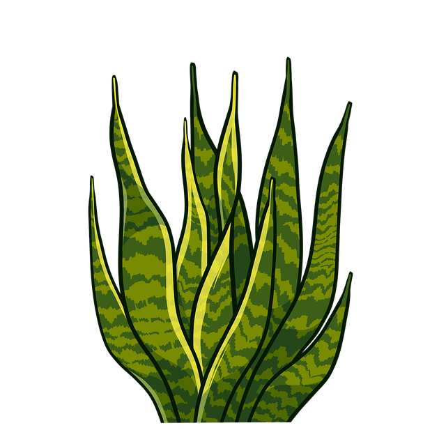 npressfetimg-7082.png