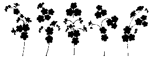 npressfetimg-7310.png