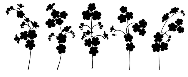 npressfetimg-7310.png