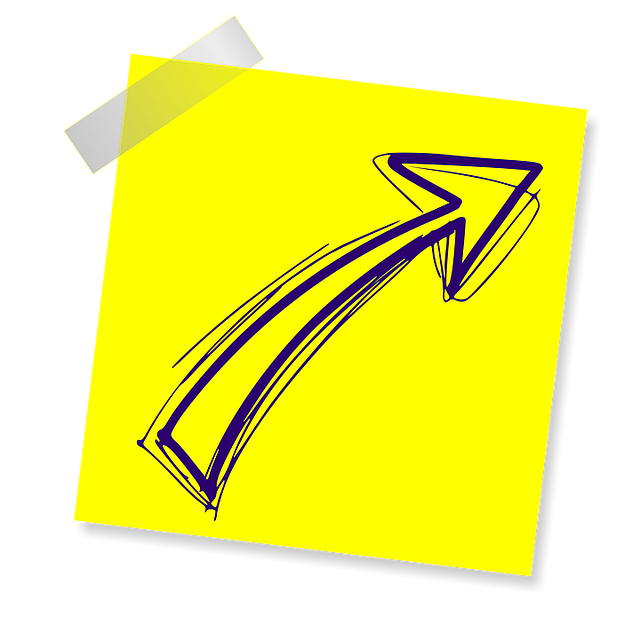 npressfetimg-7396.png