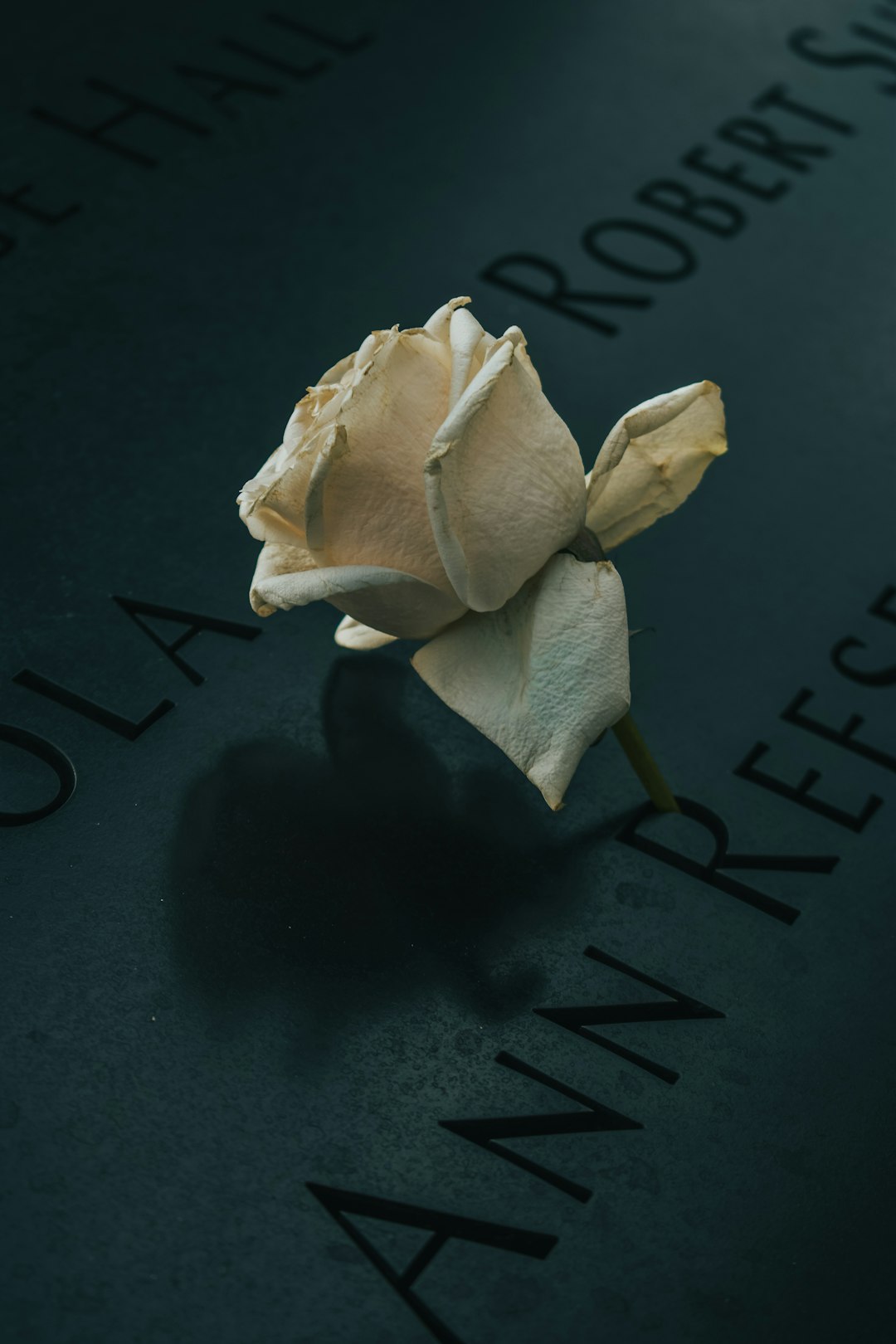 obituary-640x480-38175438.jpeg