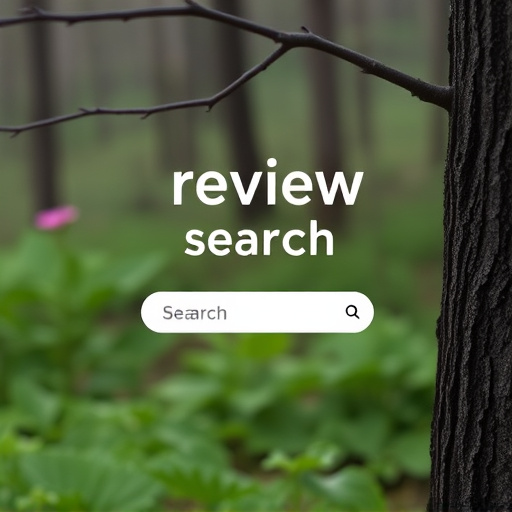 review-search-640x480-6009441.jpeg