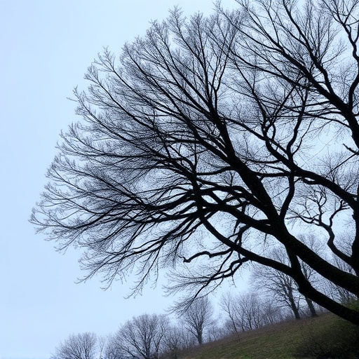 reviews-near-me-640x480-20297578.jpeg