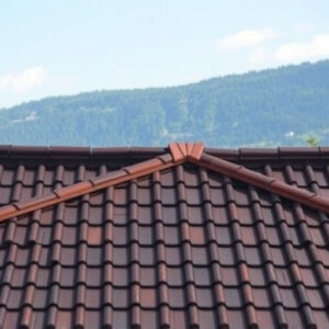 roof-640x480-76628791.jpeg