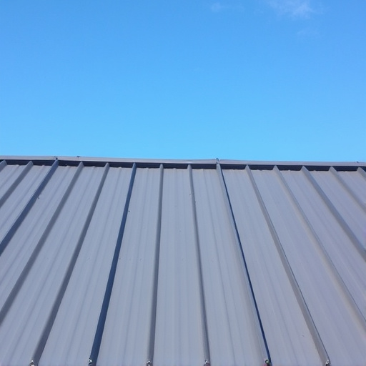 roofing, roof, steel roofing