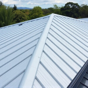 roofing-roof-steel-roofing-640x480-61175842.jpeg