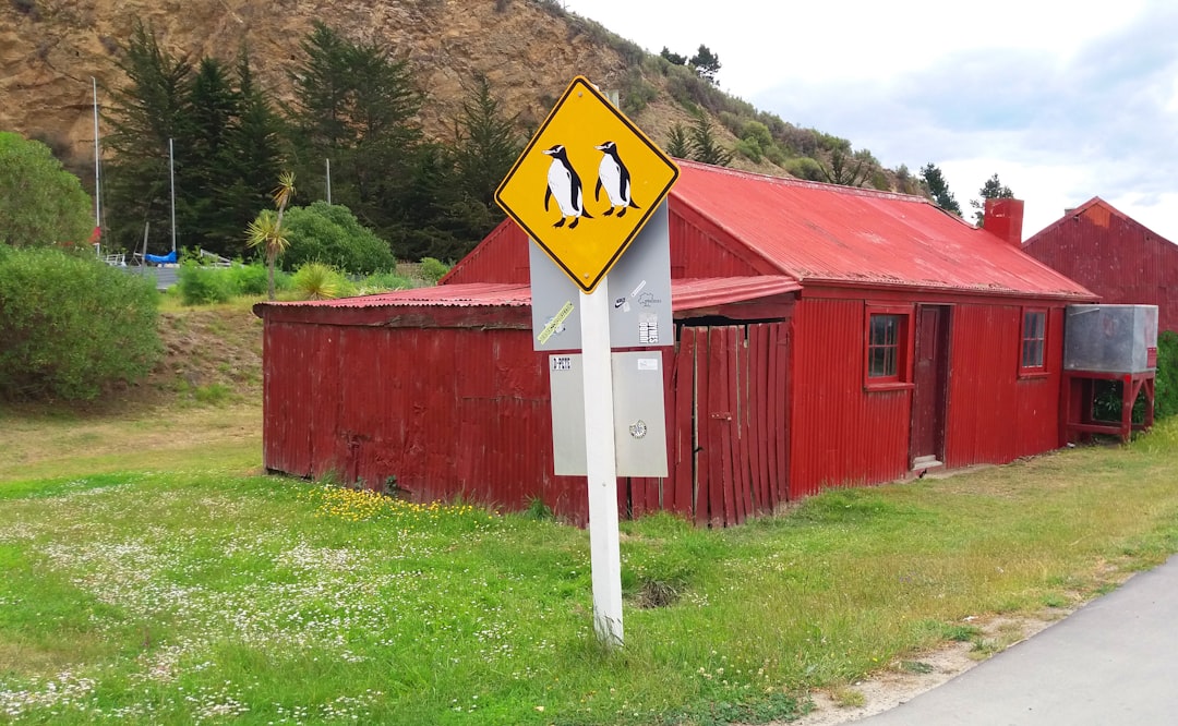 sheds