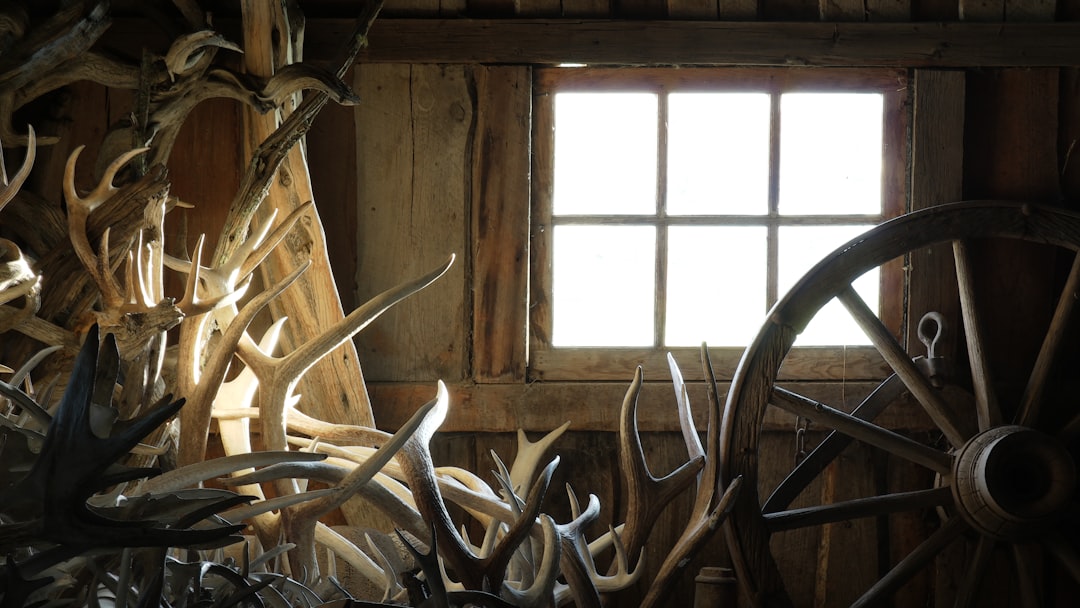 sheds