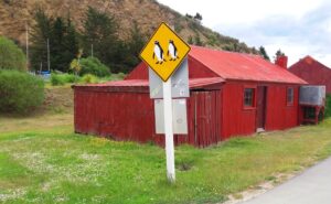 sheds-640x480-58753937.jpeg