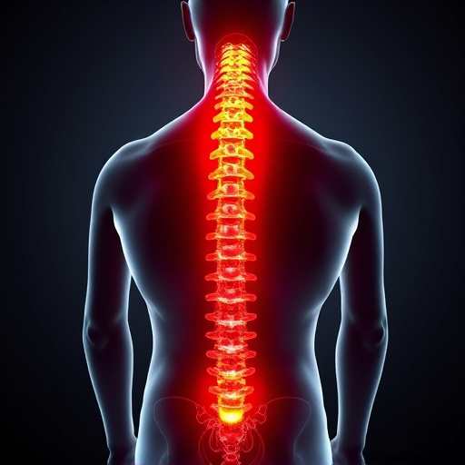 spinal health services