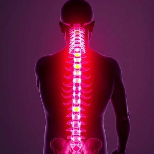 spinal health services