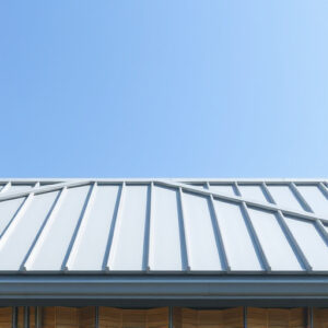steel-roof-640x480-56871020.jpeg