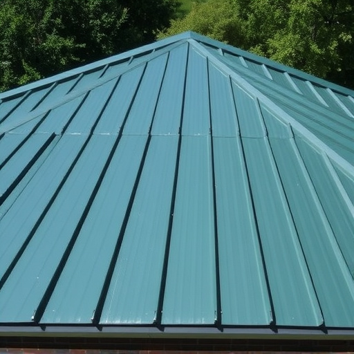 Steeline colorbond roofing