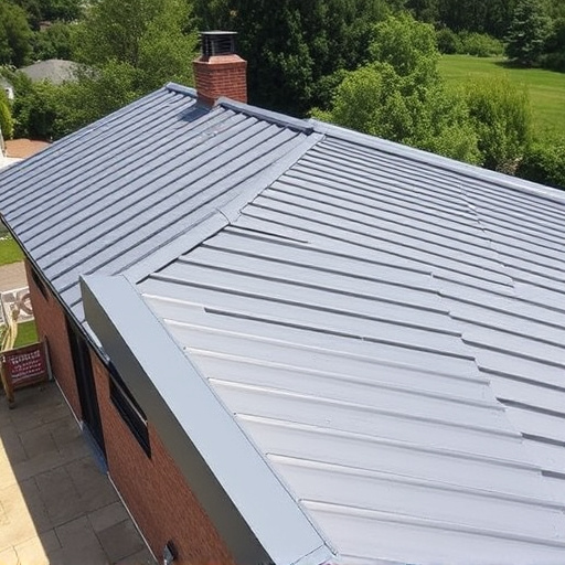 Steeline colorbond roofing