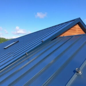 steeline-colorbond-roofing-640x480-94052488.jpeg