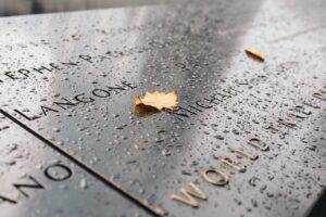 Unveiling Memories: Tobin Brothers Funerals Glenroy’s Obituaries Through the Ages
