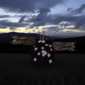 tribute-glenroy-640x480-82910246.jpeg