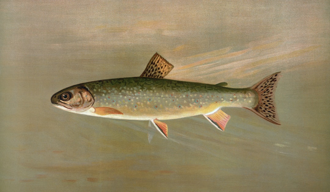 Trout