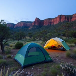 camping-in-australia-640x480-73559388.jpeg