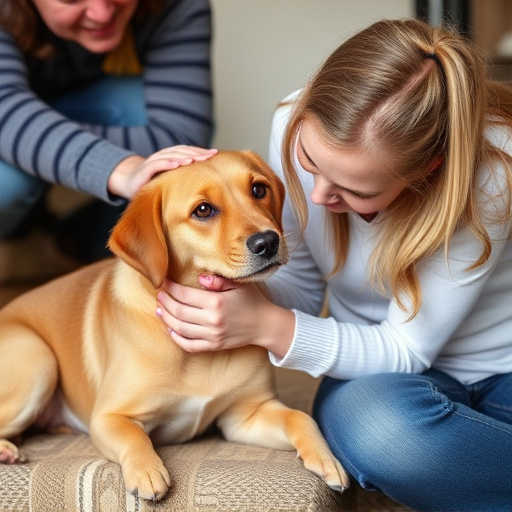 dog caring